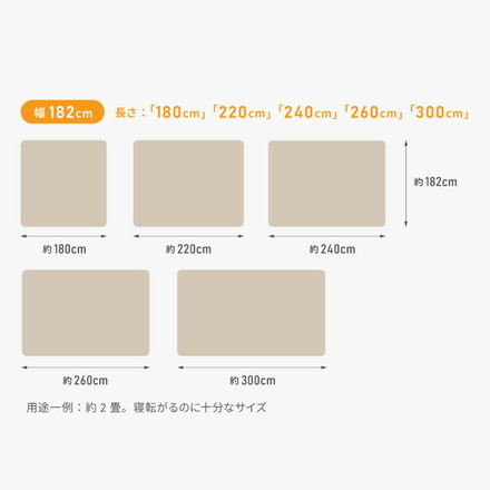 クッションフロア 日本製 幅 100cm 140cm 182cm 200cm 長さ 180cm 220cm 240cm 260cm 300cm コルソウッド 100×180cm