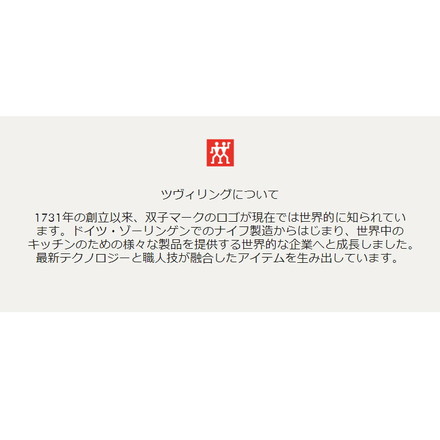 ツヴィリング カッティングボード Mサイズ 【日本正規販売品】 35012-101 まな板 まないた 両面 シンプル キッチン