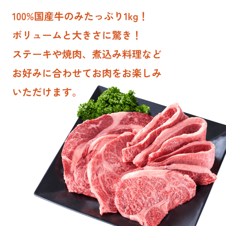 訳あり【予約商品：12月2日以降順次発送】和牛入り 国産牛1kg モッタイナイビーフ 焼肉セット（500g×2パック）