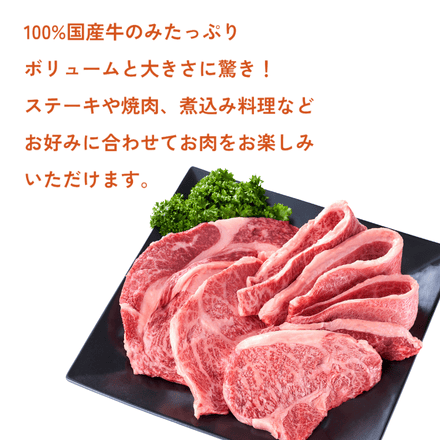 訳あり【予約商品：12月2日以降順次発送】和牛入り 国産牛500g モッタイナイビーフ 焼肉セット