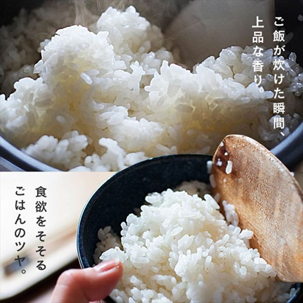 宮城県産 アイリスの低温製法米 無洗米 つや姫 20kg(5kg×4袋) 令和5年度産