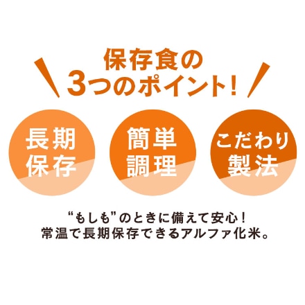 アイリスオーヤマ 防災食 α化米 ドライカレー 100ｇ×5個セット