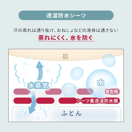 アイリスオーヤマ 透湿防水シーツ ダブル FLS-TCST-D ベージュ