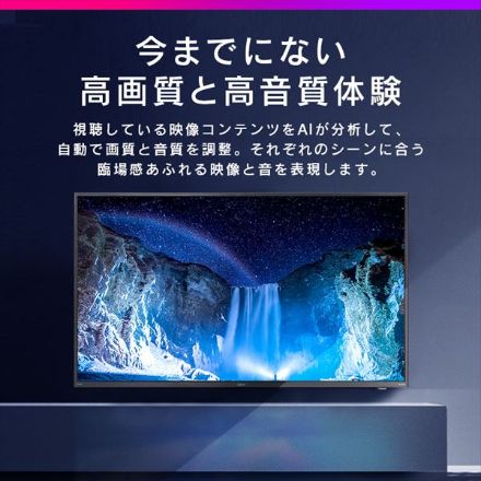 アイリスオーヤマ AI機能音声操作対応4Kチューナー内蔵液晶テレビ 50V型 50XUC38VC ブラック