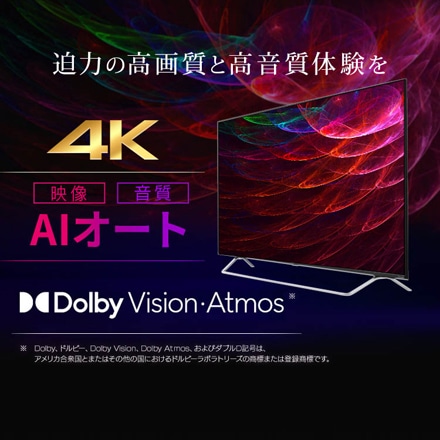 アイリスオーヤマ スマート4Kチューナー内蔵スマート液晶テレビ 55V型 55XDA20 ブラック