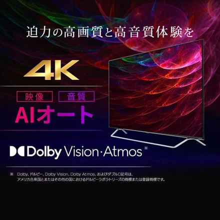 アイリスオーヤマ 4Kチューナー内蔵スマート液晶テレビ 65V型 65XDA20S ブラック
