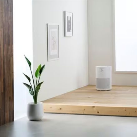 アイリスオーヤマ 空気清浄機 10畳 AAP-S20C-W ホワイト