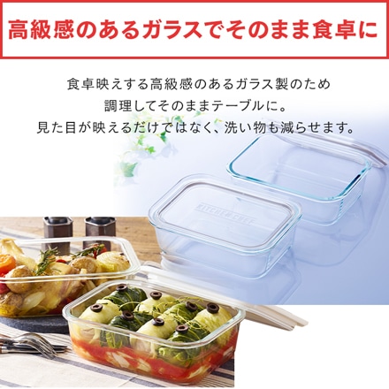 アイリスオーヤマ 耐熱ガラス容器 2点セット TGS-2S クリアブラック