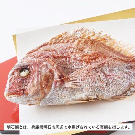 明石鯛姿焼き 400g