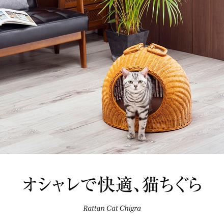 ラタン キャットハウス 猫ちぐら ウレタンクッション付き