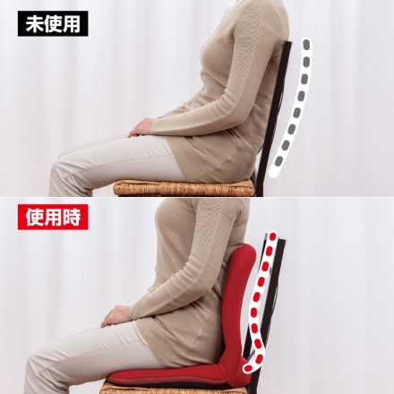 背筋サポートリクライニングチェア ブラック 同色2個組