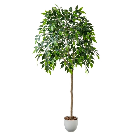 人工観葉植物 ベンジャミン 光触媒 フェイクグリーン