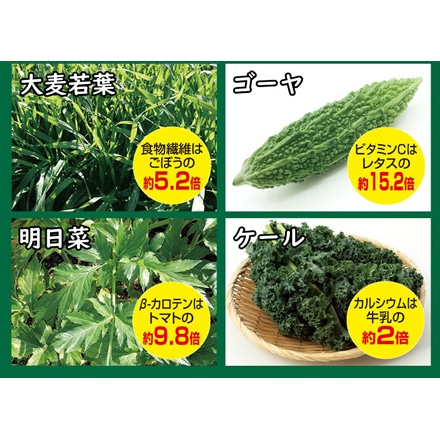 4種の九州産 野菜 青汁 3g×30包