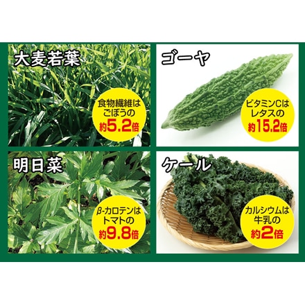 4種の九州産 野菜 青汁 3g×200包