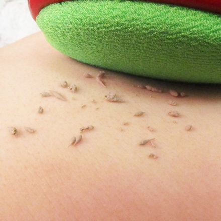 本場韓国のアカスリ 2枚組