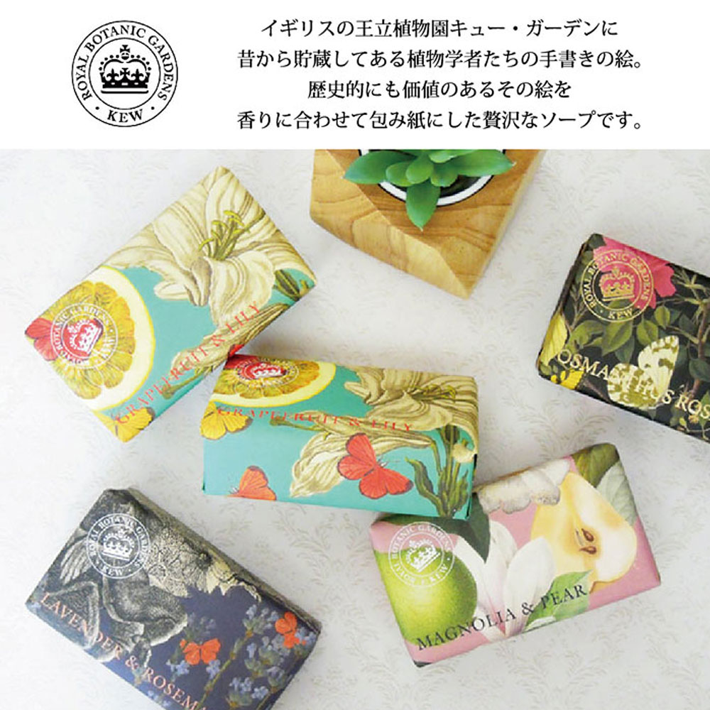 English Soap Company イングリッシュソープカンパニー KEW GARDEN キュー・ガーデン Scrub Soaps スクラブソープ Lemongrass & Lime レモングラス＆ライム
