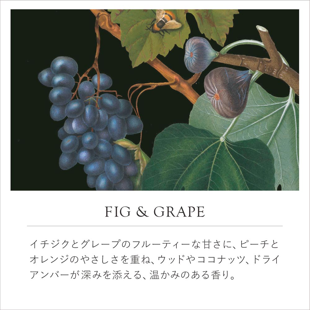 English Soap Company イングリッシュソープカンパニー KEW GARDEN キュー・ガーデン Luxury Shea Soaps シアソープ Fig & Grape フィグ＆グレープ