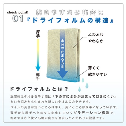 ハーフ バスタオル 4枚 セット 今治 タオル DAILY PRAIRIE ドライフォルム ペールピンク