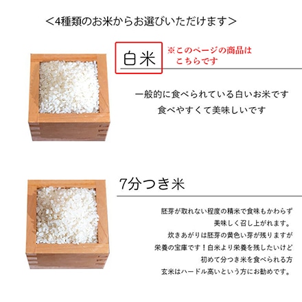 新米 三重県産 コシヒカリ 5kg 白米 令和6年産