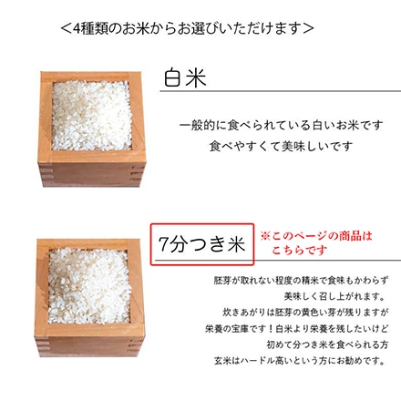 新米 三重県産 コシヒカリ 5kg 7分づき 令和6年産