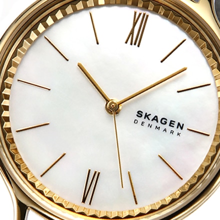 スカーゲン SKAGEN レディース 腕時計 Anita SKW2866