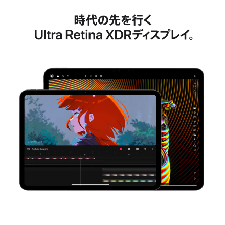 Apple iPad Pro 11インチ Wi-Fiモデル 256GB（標準ガラス搭載）- スペースブラック with AppleCare+