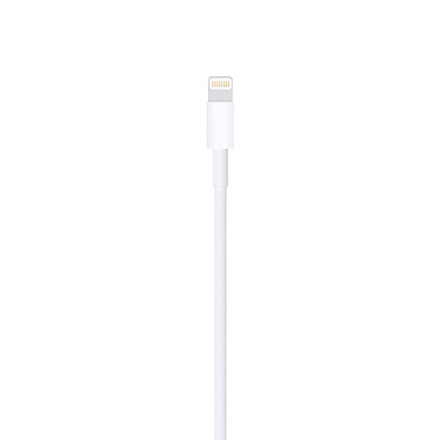 Apple Lightning - USBケーブル（1m）