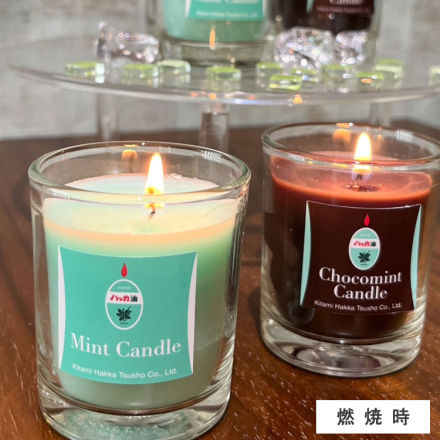 北見ハッカ通商 Chocoｍint Candle チョコミントキャンドル 3454