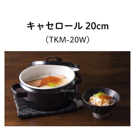 富士ホーロー 匠シリーズ 20cm 両手鍋 鉄緑 TKM-20W.G