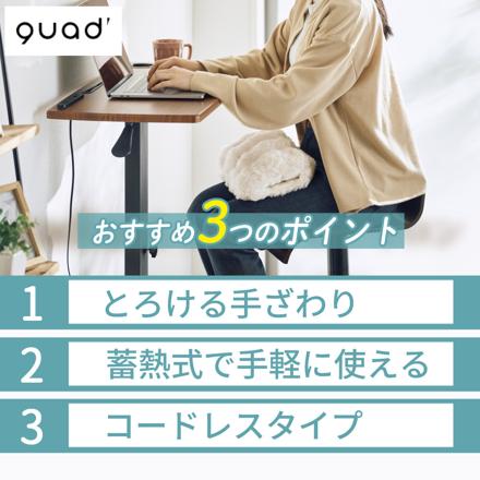 QUADS 蓄熱式 湯たんぽ トロン QS432CG チャコールグレー