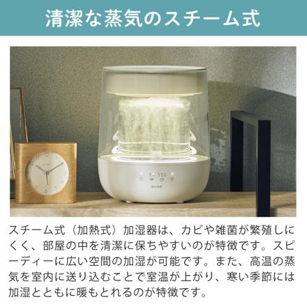 QUADS ガラススチーム加湿器 GLASS MINI QS629GY グレー