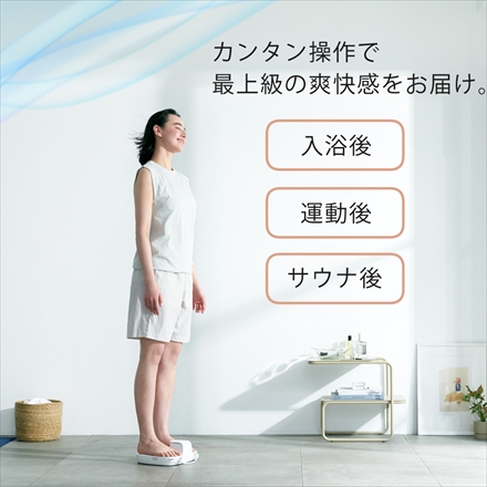 AiMY BODY FAN グレージュ AIM-BF01 ボディファン