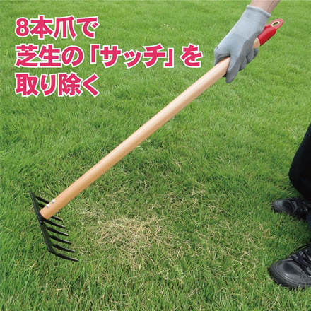 キンボシ レーキ 芝生のサッチ取り (小) 8本爪 (4010)