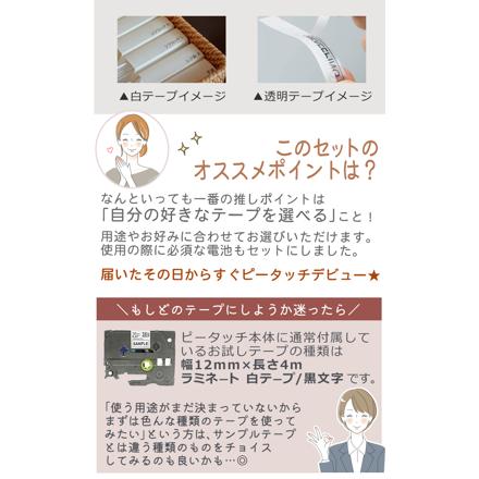 ブラザー ラベルライター ピータッチ P-TOUCH ショコラテ PT-J100CL ＆テープ 白 12mm TZe-231 ＆単4電池8本＆クロス
