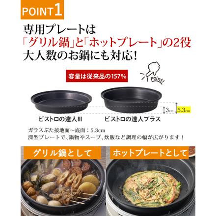 イワタニ カセットフー ビストロの達人プラス CB-BST-PLS-BR ブラウン＆イワタニ純正プレート4種＆カセットガス付き セット