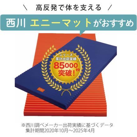 西川 エニーマット ブルー S ＋西川 のびのびクイック（R）シーツ グレー SS-S