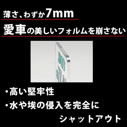 井上工業 字光式ナンバープレート ガンメタ LEDパーフェクトecoII 普通車対応 2468-12V-G 2枚セット