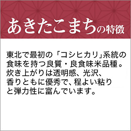 新米 白米 秋田県産 あきたこまち 900g 令和6年産