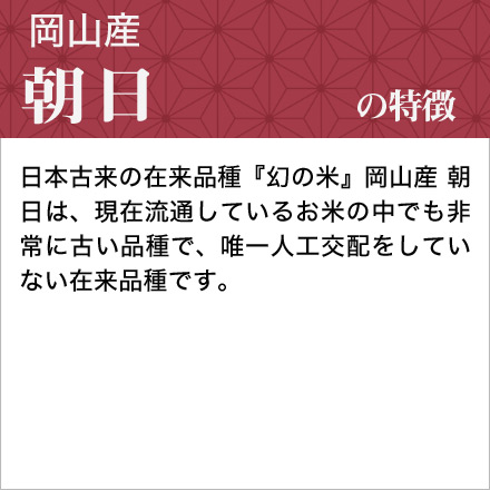 新米 白米 岡山県産 朝日 900g 令和6年産