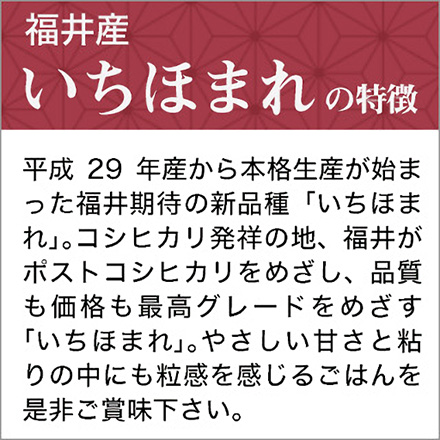 白米 福井県産 いちほまれ 900g 特A評価 令和5年産