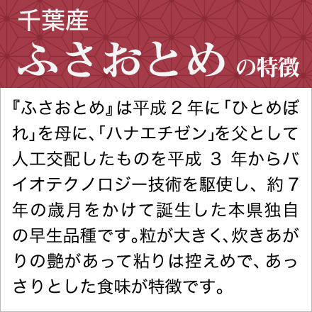 新米 白米 千葉県産 ふさおとめ 900g 令和6年産