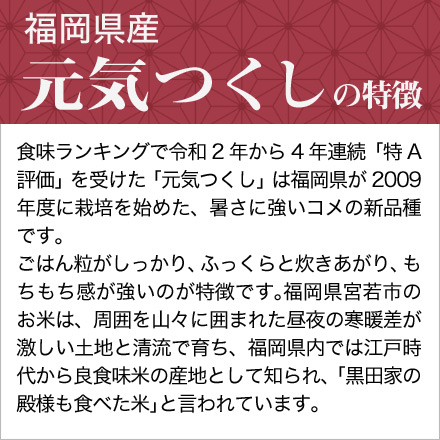 新米 白米 福岡県産 元気つくし 900g 特A評価 令和6年産