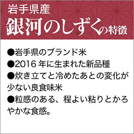 白米 岩手県産 銀河のしずく 900g 特A評価 令和5年産