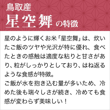 白米 鳥取県産 星空舞 900g 令和6年産