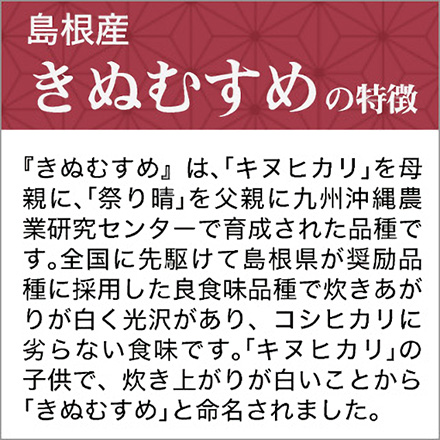 新米 白米 島根県産 きぬむすめ 900g 特A評価 令和6年産