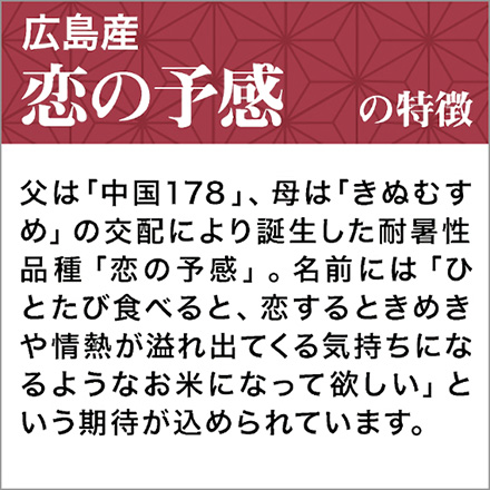 白米 広島県産 恋の予感 900g 特A評価 令和5年産