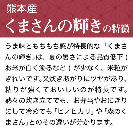 白米 熊本県産 くまさんの輝き 900g 令和6年産