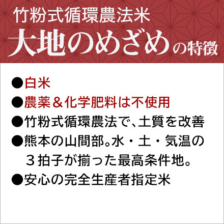 白米 熊本県産 大地のめざめ （ヒノヒカリ） 900g 農薬・化学肥料不使用 <竹粉式循環農法米> 令和7年産