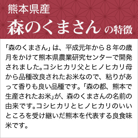 新米 白米 熊本県産 森のくまさん 900g 特A評価 令和6年産