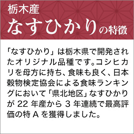 新米 白米 栃木県産 なすひかり 900g 令和6年産